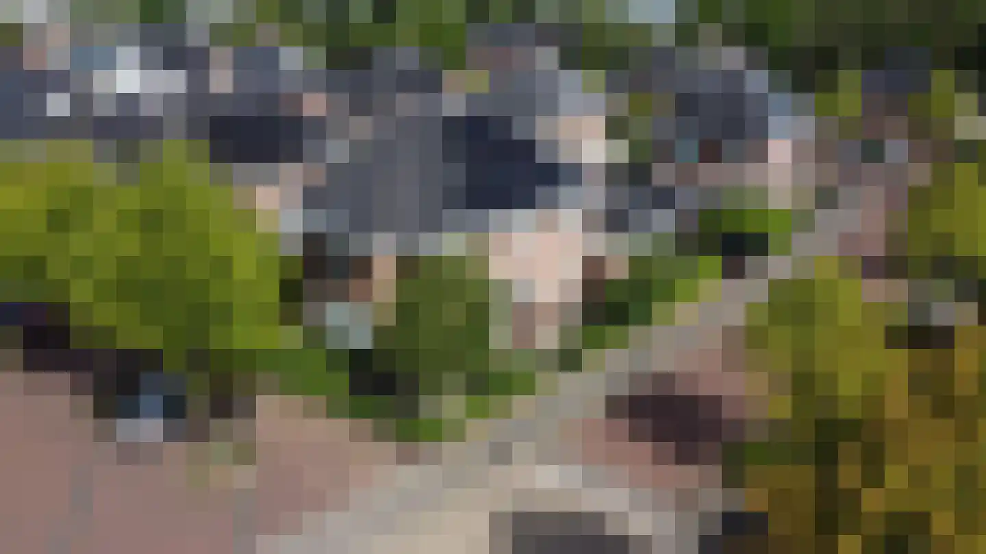 Rondtanderlaan 8 Sassenheim thumbnail 40