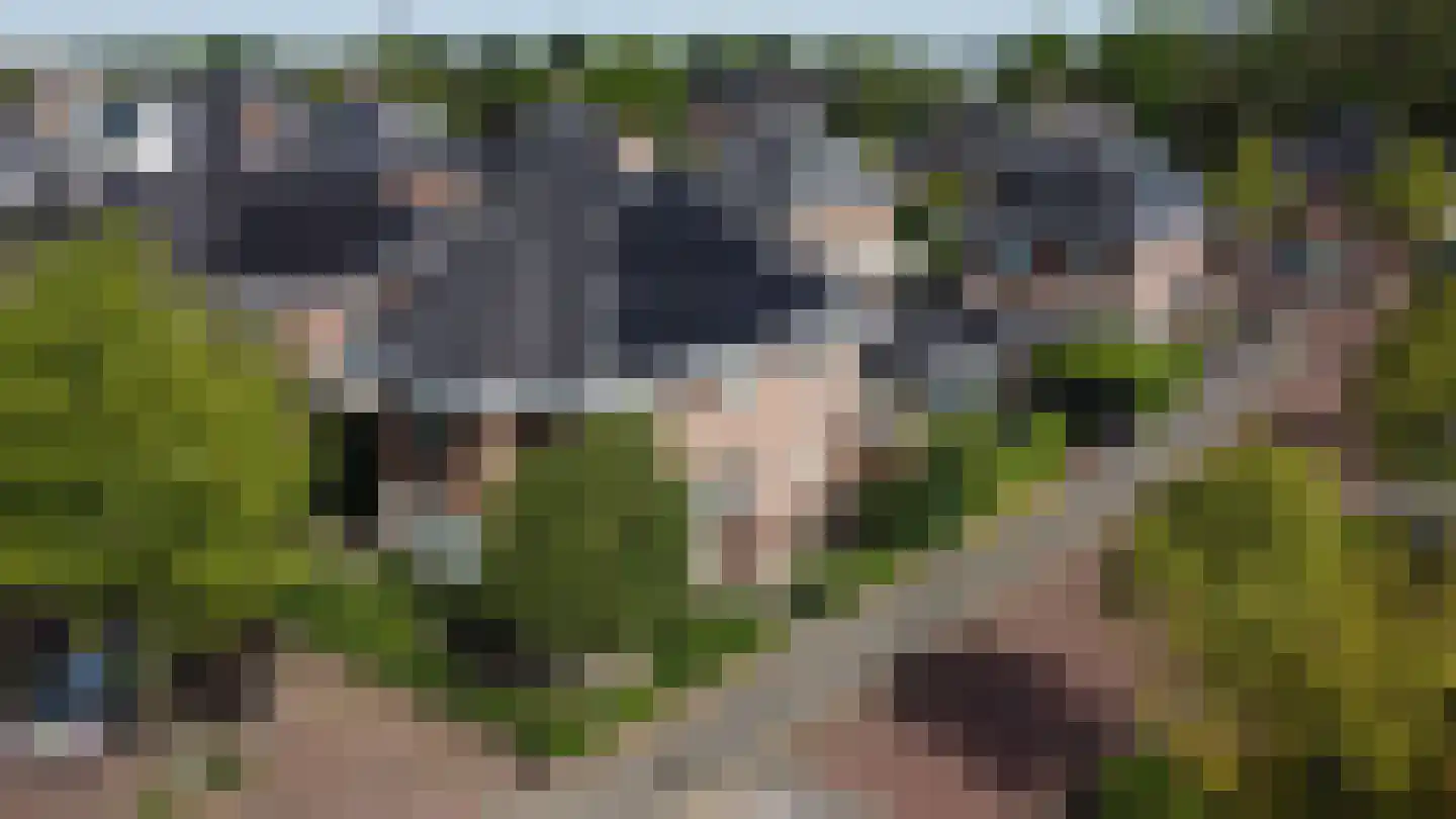 Rondtanderlaan 8 Sassenheim thumbnail 41