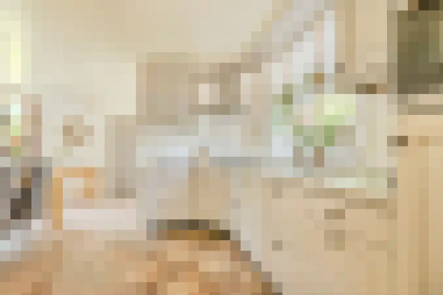Ronduitsestraat 8 Haps thumbnail 11