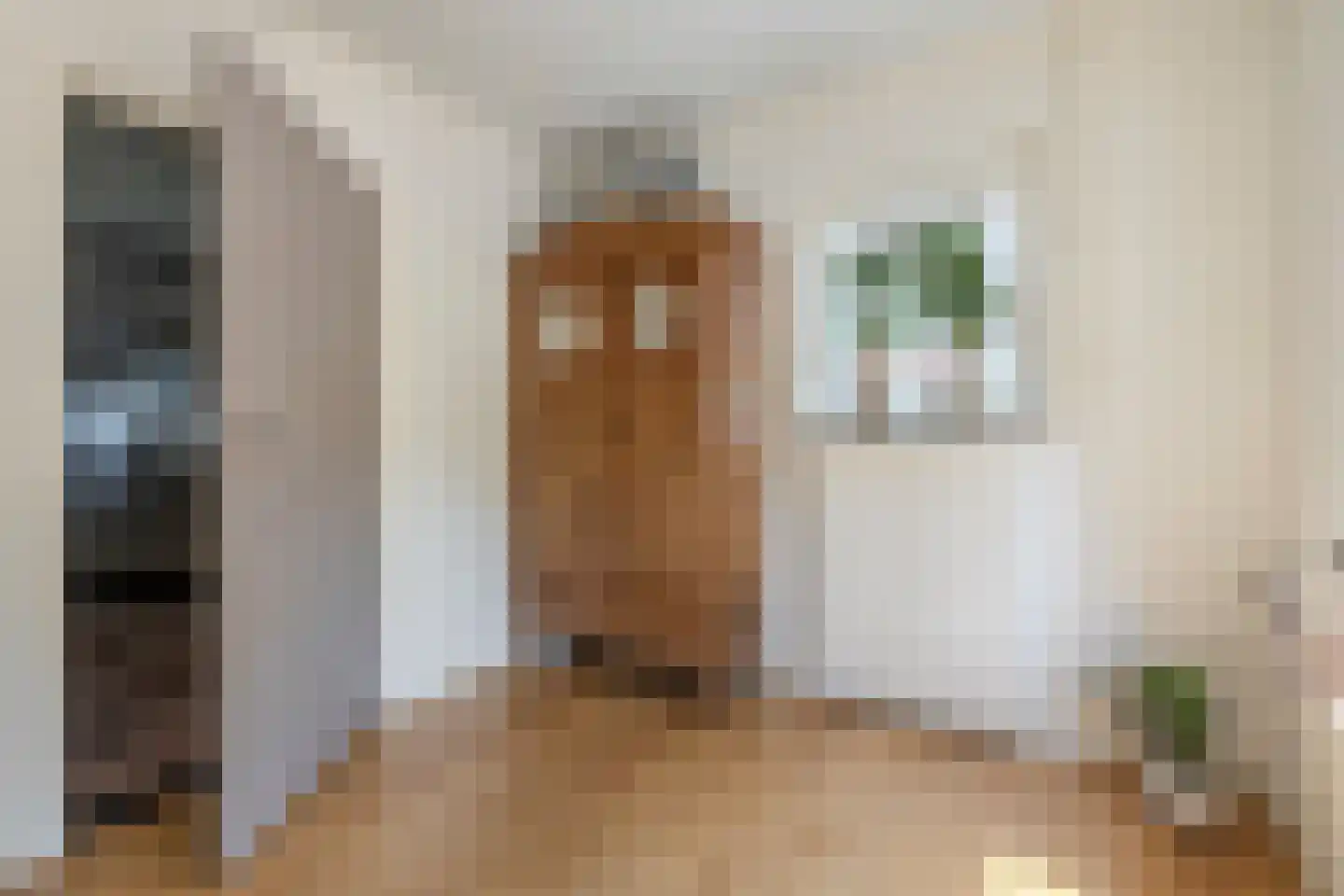 Ronduitsestraat 8 Haps thumbnail 13