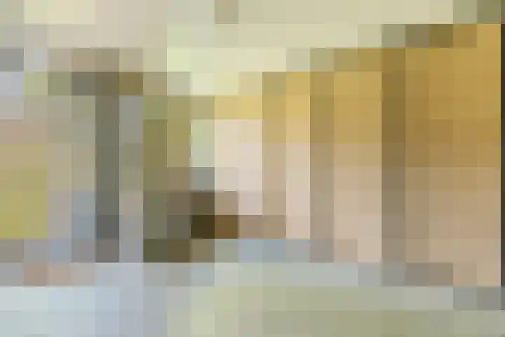 Ronduitsestraat 8 Haps thumbnail 16