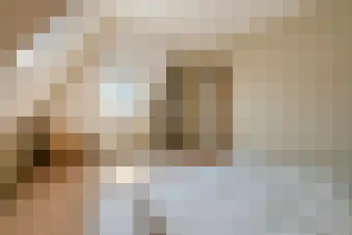 Ronduitsestraat 8 Haps thumbnail 19