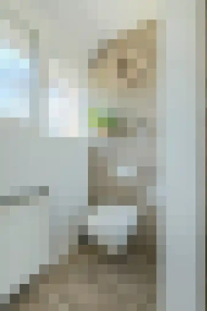 Ronduitsestraat 8 Haps thumbnail 29