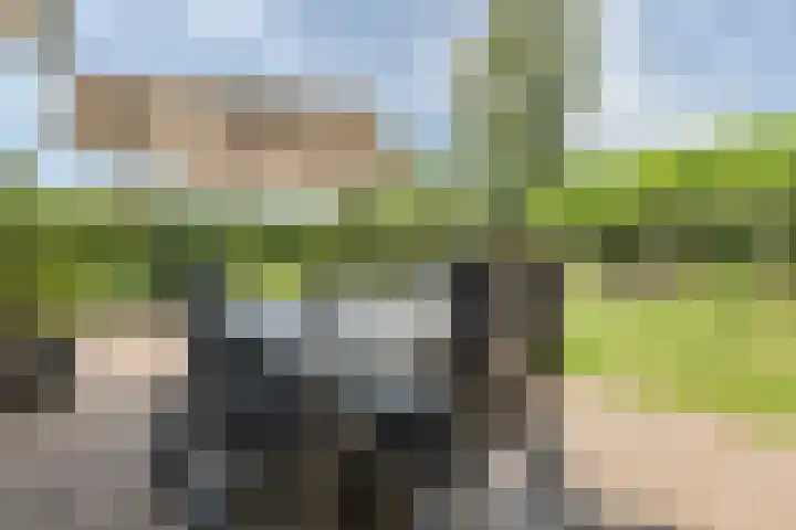 Ronduitsestraat 8 Haps thumbnail 31