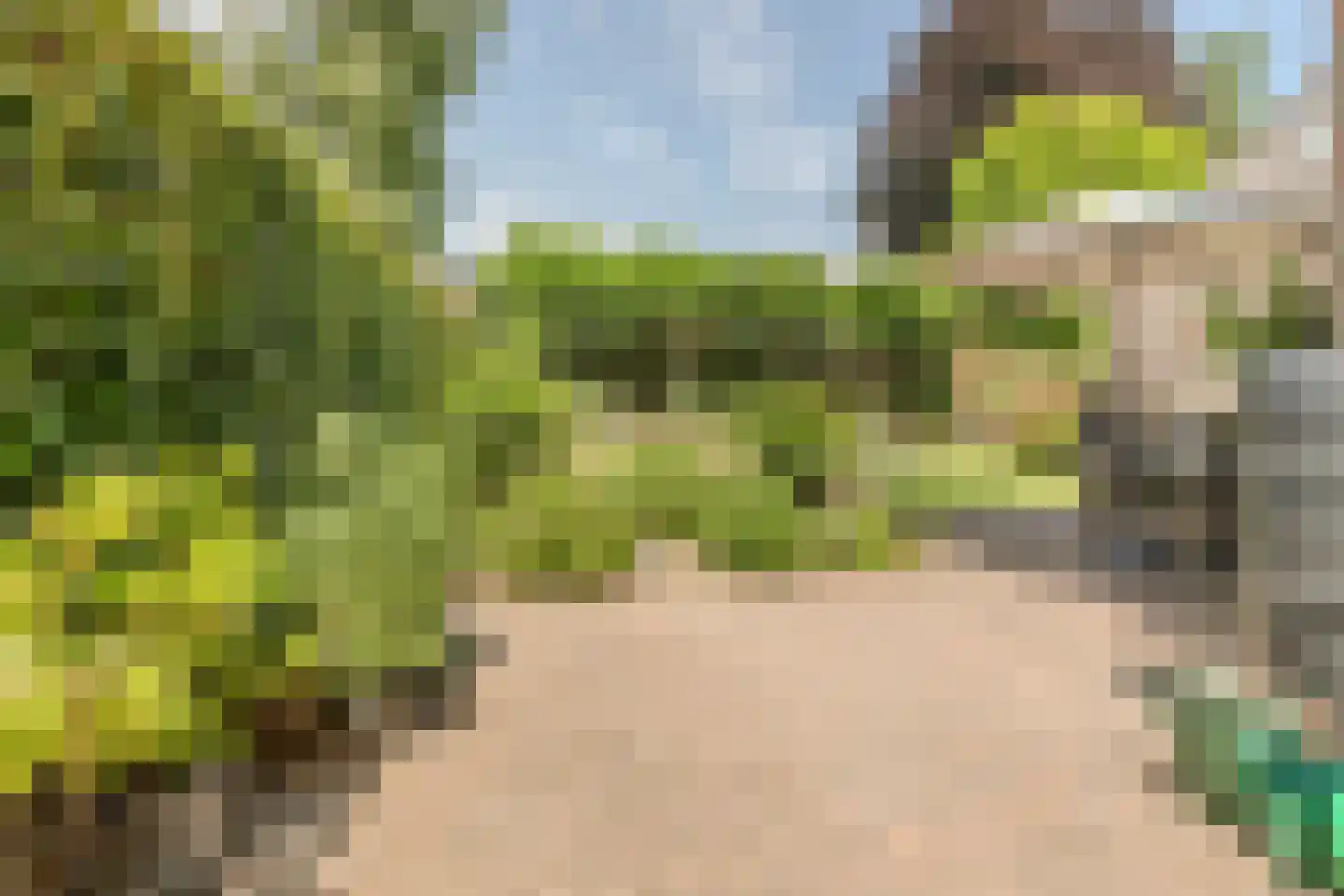 Ronduitsestraat 8 Haps thumbnail 33