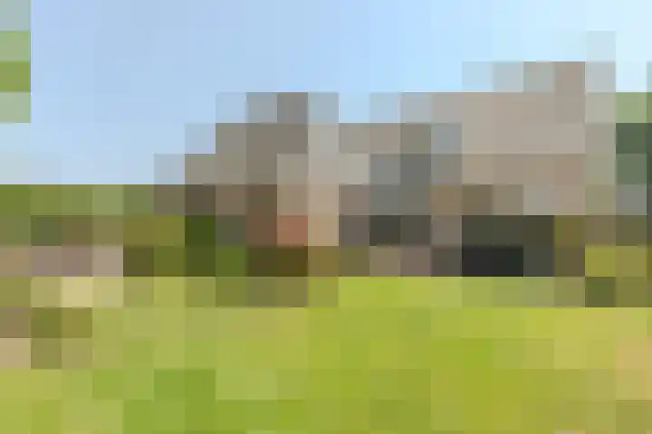 Ronduitsestraat 8 Haps thumbnail 34