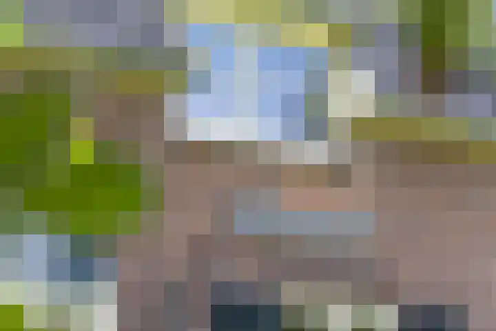 Rondweg 1 Vorden thumbnail 11