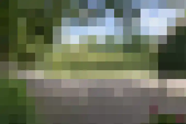 Rondweg 1 Vorden thumbnail 12