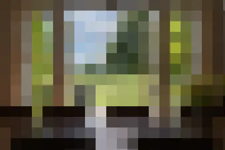 Rondweg 1 Vorden thumbnail 23