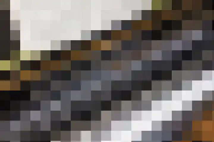 Rondweg 1 Vorden thumbnail 29