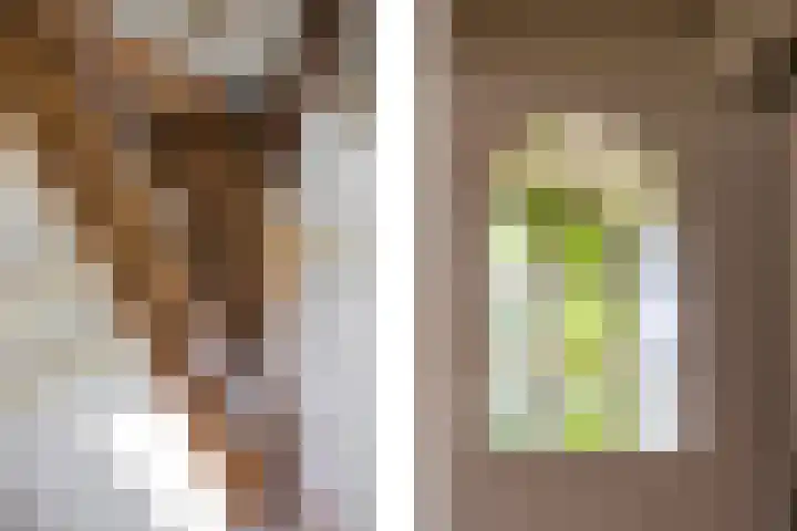 Rondweg 1 Vorden thumbnail 32