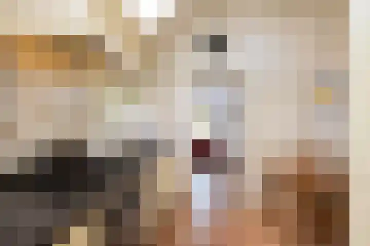 Rondweg 1 Vorden thumbnail 38