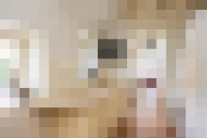 Rondweg 1 Vorden thumbnail 39