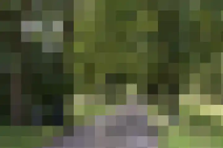 Rondweg 1 Vorden thumbnail 4