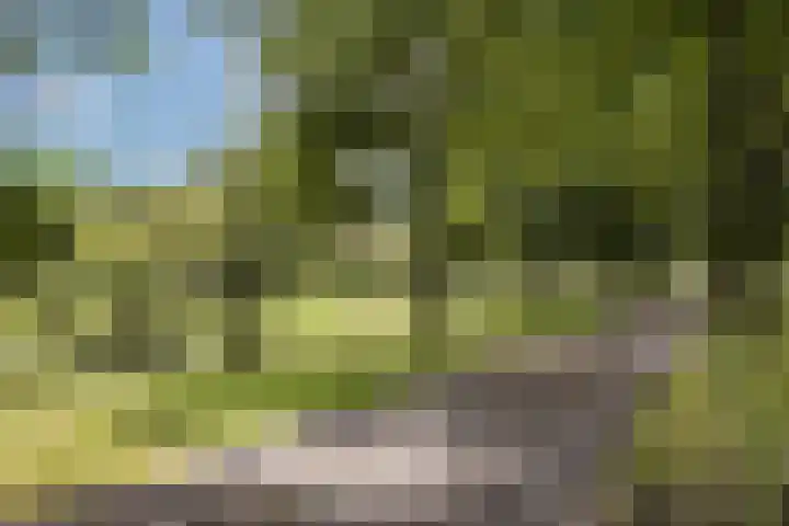 Rondweg 1 Vorden thumbnail 5