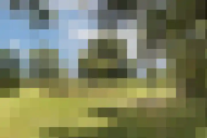 Rondweg 1 Vorden thumbnail 53