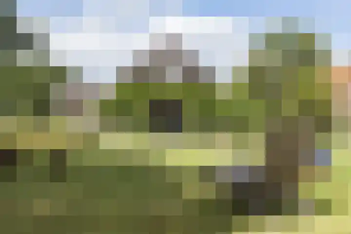 Rondweg 1 Vorden thumbnail 55