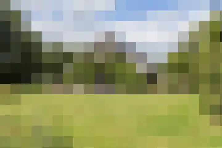 Rondweg 1 Vorden thumbnail 56
