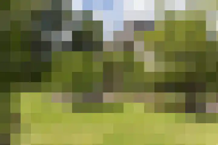 Rondweg 1 Vorden thumbnail 57