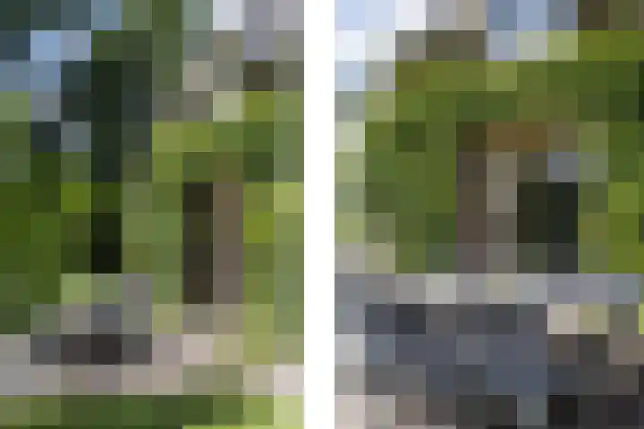 Rondweg 1 Vorden thumbnail 58