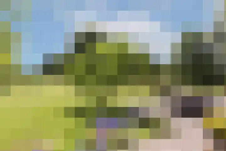 Rondweg 1 Vorden thumbnail 59