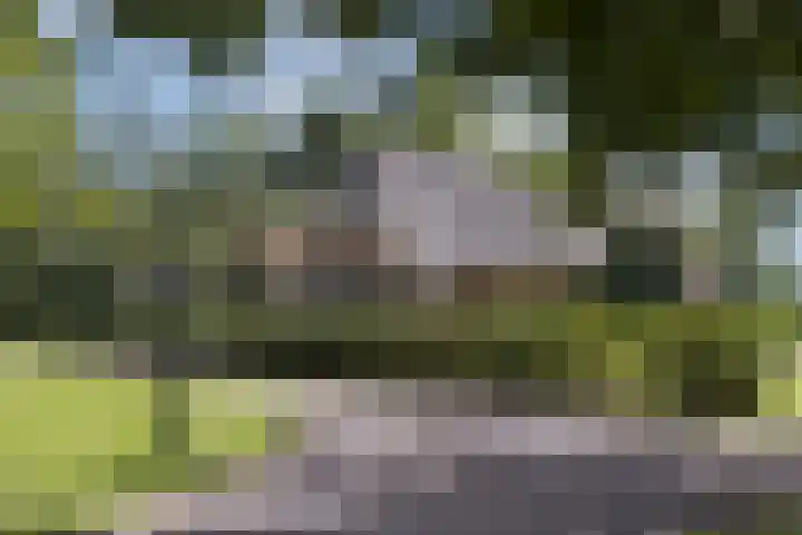 Rondweg 1 Vorden thumbnail 6