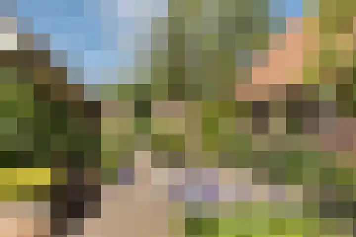 Rondweg 1 Vorden thumbnail 60