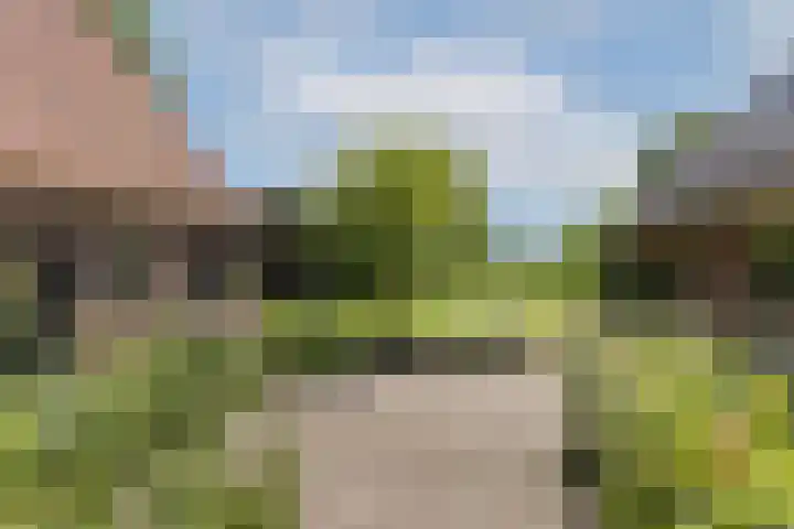 Rondweg 1 Vorden thumbnail 61