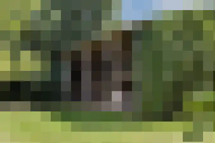 Rondweg 1 Vorden thumbnail 62