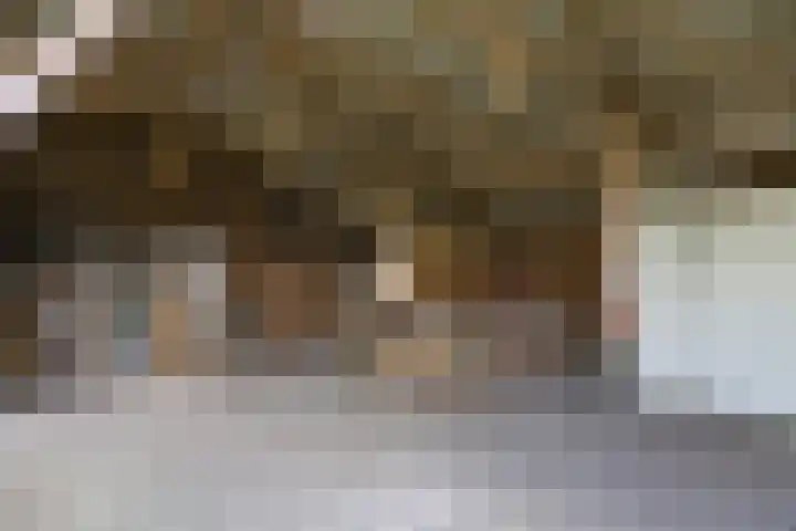 Rondweg 1 Vorden thumbnail 63