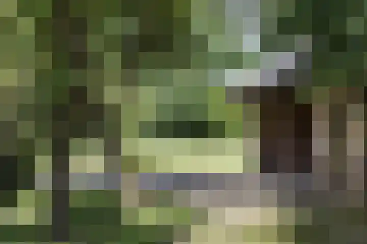 Rondweg 1 Vorden thumbnail 65