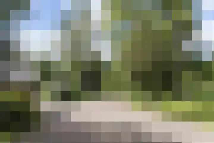Rondweg 1 Vorden thumbnail 66