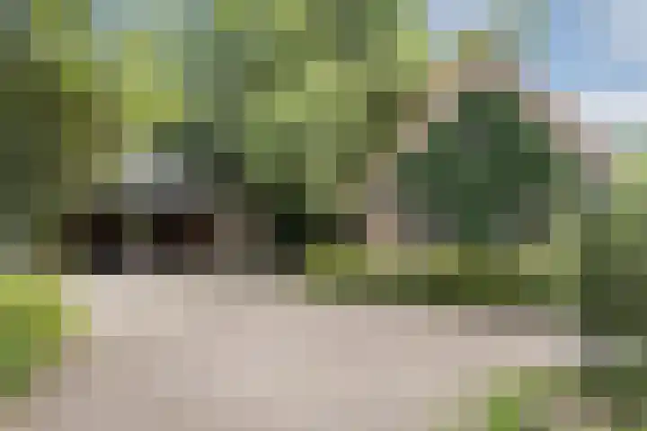 Rondweg 1 Vorden thumbnail 67