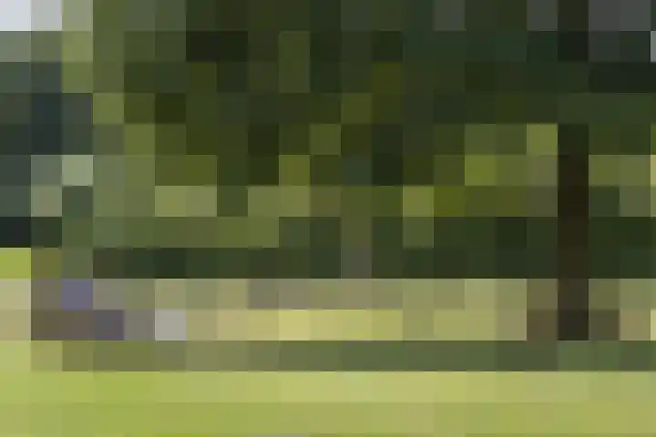 Rondweg 1 Vorden thumbnail 68