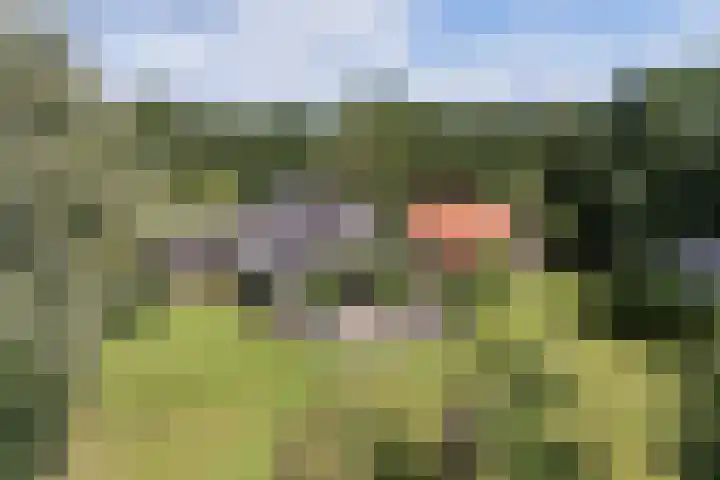 Rondweg 1 Vorden thumbnail 69