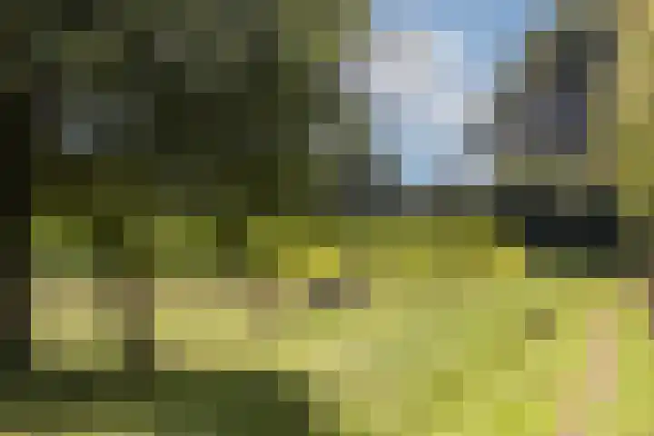 Rondweg 1 Vorden thumbnail 70