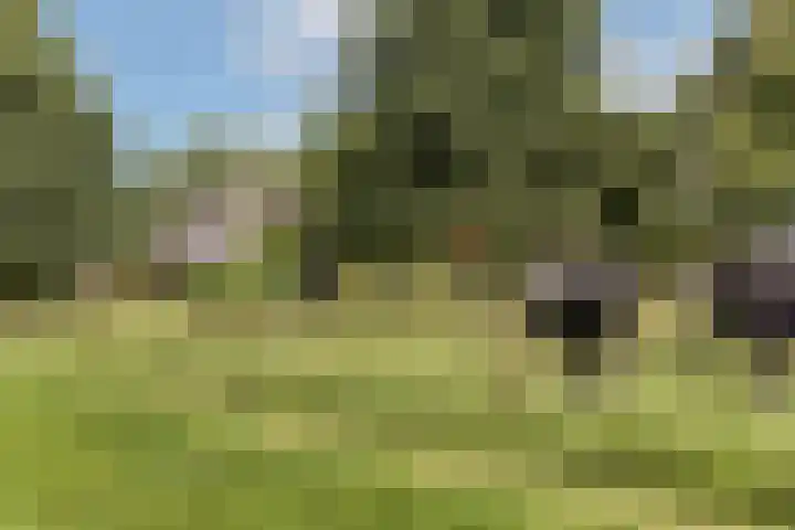 Rondweg 1 Vorden thumbnail 71