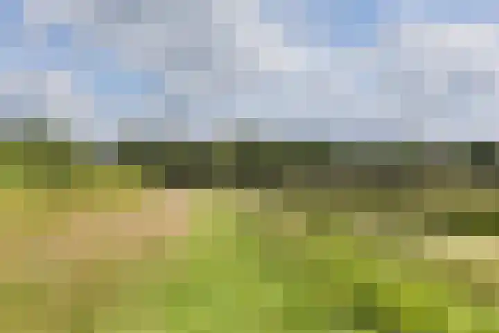 Rondweg 1 Vorden thumbnail 72