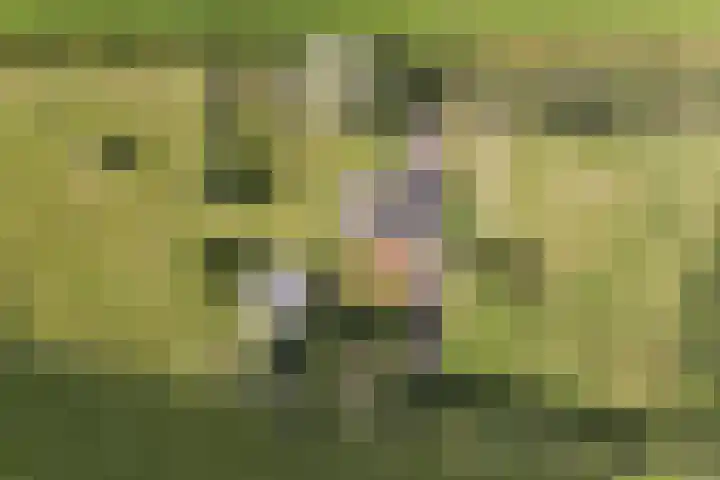 Rondweg 1 Vorden thumbnail 73