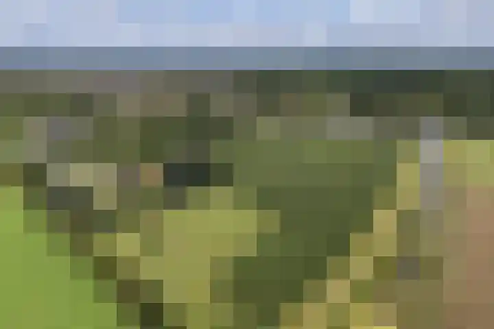 Rondweg 1 Vorden thumbnail 74