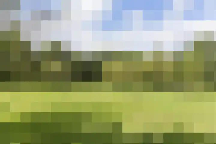 Rondweg 1 Vorden thumbnail 75