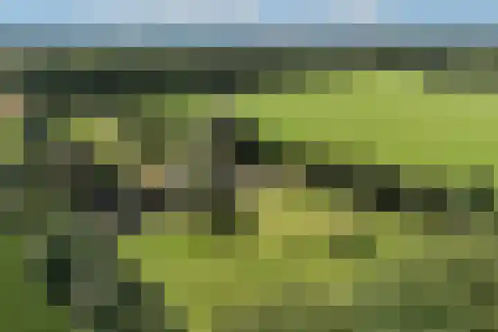 Rondweg 1 Vorden thumbnail 76