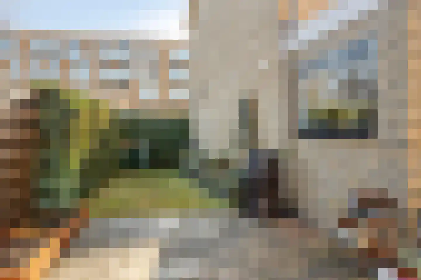 Rondweg 100 Krimpen aan den IJssel thumbnail 35