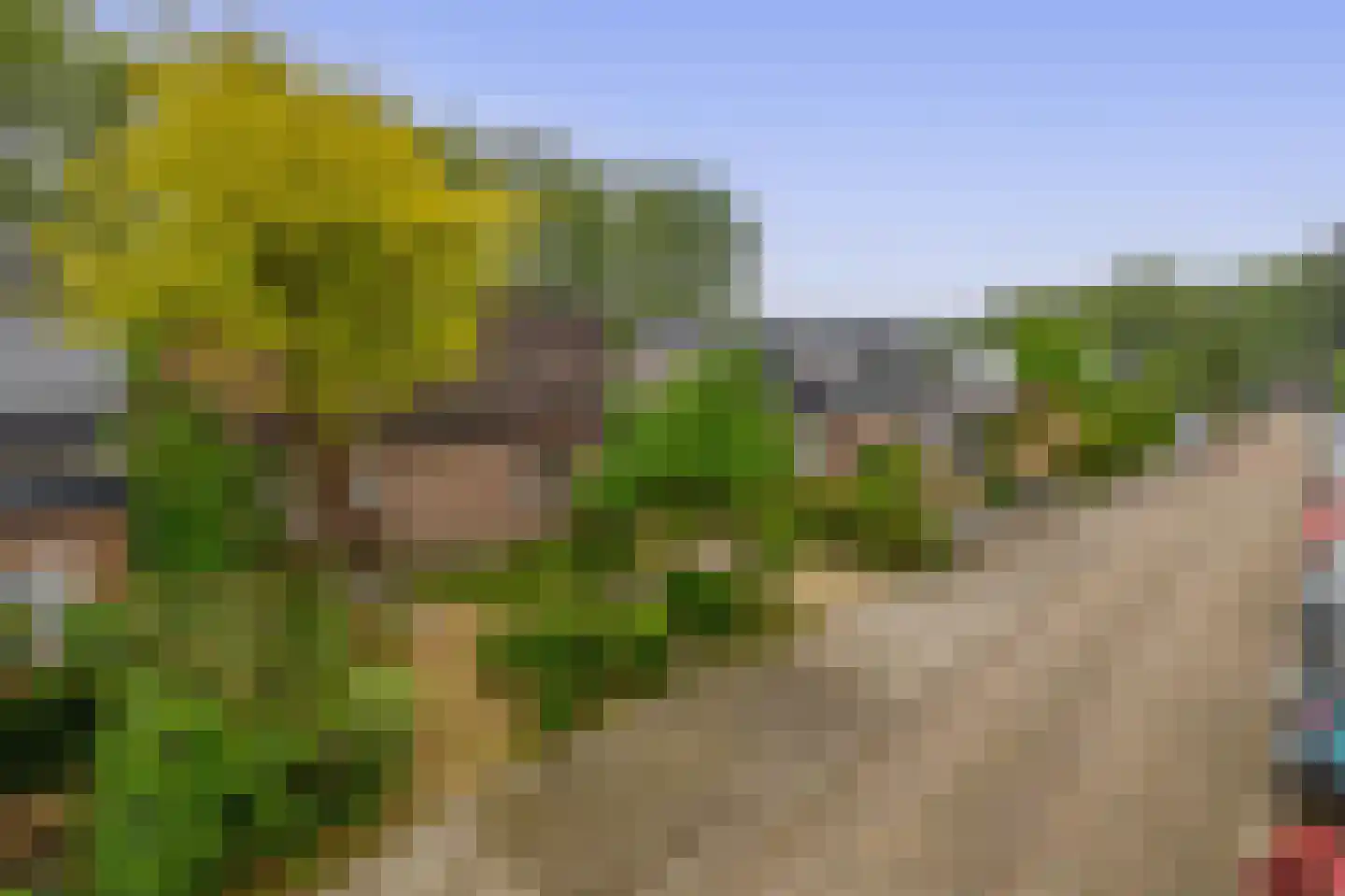 Rondweg 149 Krimpen aan den IJssel thumbnail 50