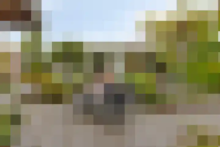 Rondweg 163 Krimpen aan den IJssel thumbnail 38