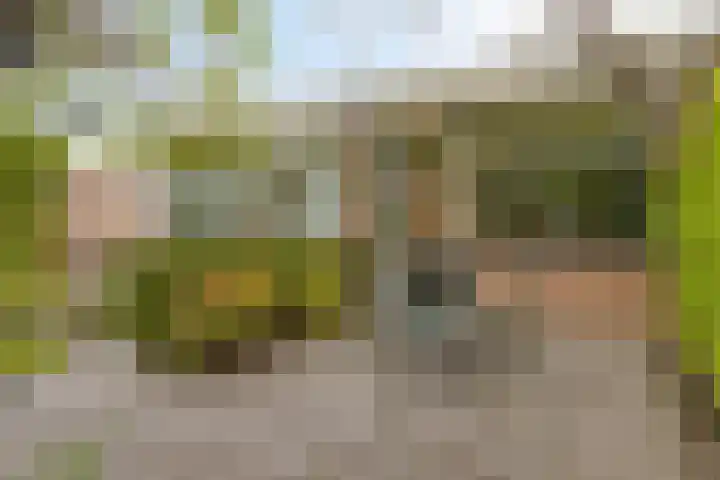 Rondweg 163 Krimpen aan den IJssel thumbnail 39
