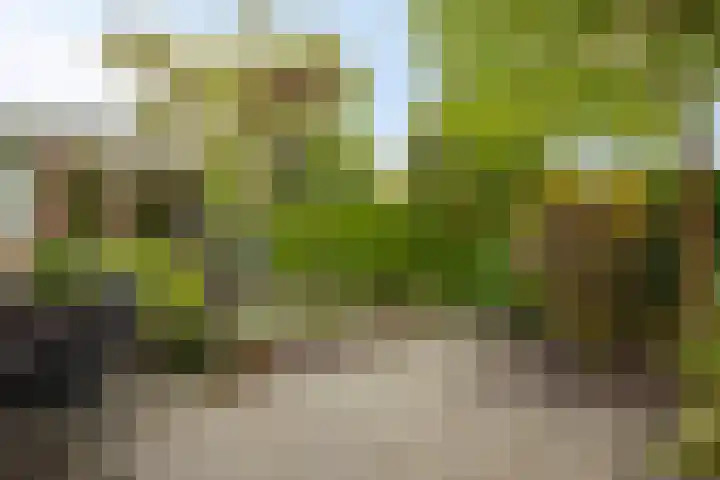 Rondweg 163 Krimpen aan den IJssel thumbnail 41