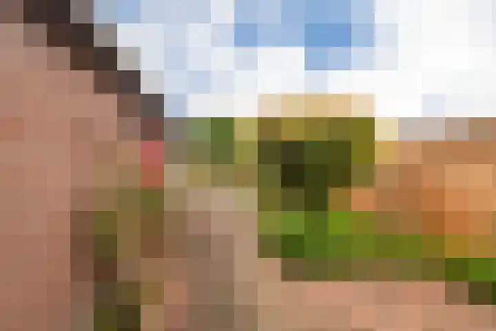 Rondweg 19 Zwartebroek thumbnail 31