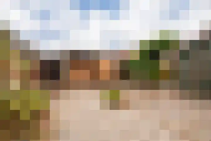 Rondweg 19 Zwartebroek thumbnail 32