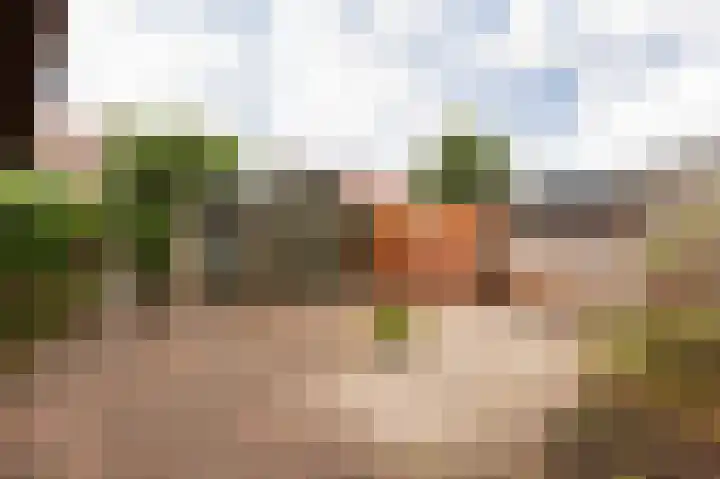 Rondweg 19 Zwartebroek thumbnail 33